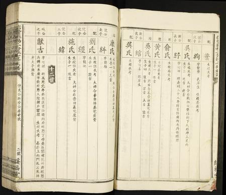 江西张氏族谱-信丰张福二公派七修族谱.pdf电子版插图2