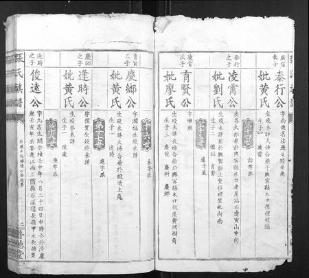 江西张氏族谱-张氏族谱.pdf电子版插图2