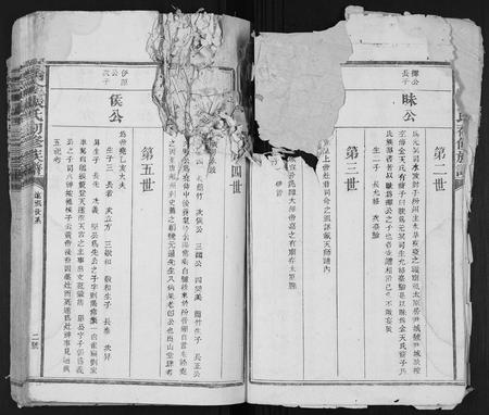江西张氏族谱-瑞金张氏初修族谱.pdf电子版插图2