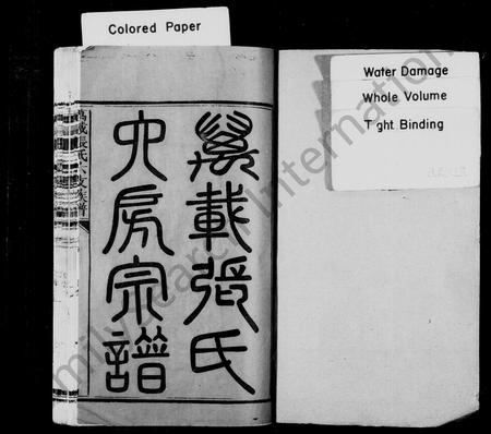 江西张氏族谱-万载张氏六支族谱 [共16卷].pdf电子版插图2