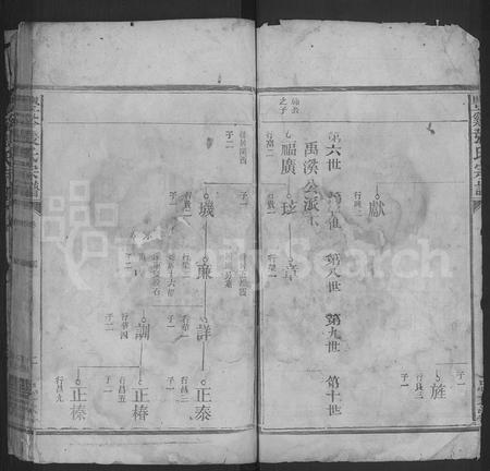 江西张氏族谱-丰谿张氏宗谱 [不分卷].pdf电子版插图2