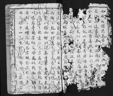 江西锺氏族谱-瑞金清溪锺氏九修族谱[不分卷].pdf电子版插图2
