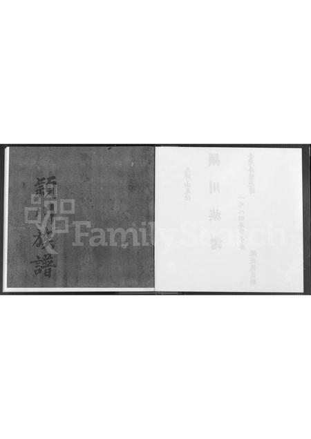 福建陈氏族谱-马坪山尾社颖川(陈氏)族谱 [不分卷].pdf电子版插图2