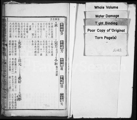 安徽周氏族谱-鹞石周氏诜羽堂支谱 [残卷].pdf电子版插图2