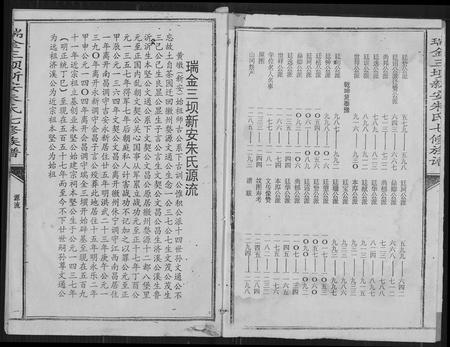 江西朱氏族谱-瑞金三垻新安朱氏七修族谱.pdf电子版插图2