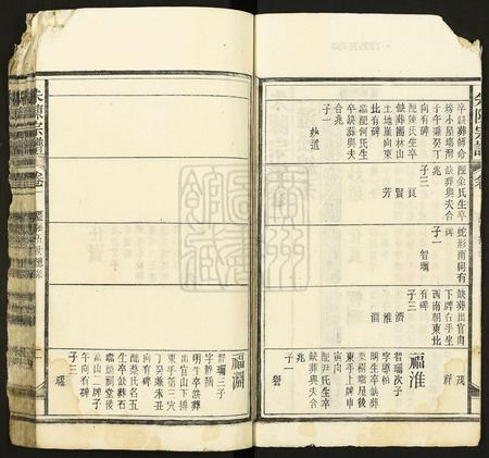 安徽朱氏陈氏族谱-朱陈宗谱.pdf电子版插图2