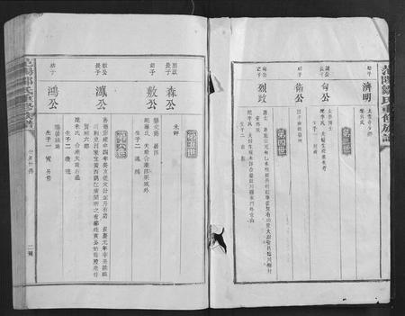 江西邹氏族谱-范阳邹氏重修族谱[不分卷].pdf电子版插图2