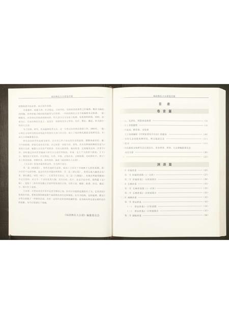 福建林氏族谱-福清林氏大宗谱.pdf电子版插图2