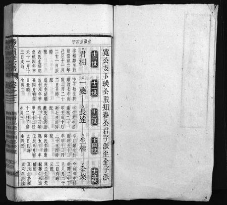 安徽杨氏族谱-杨氏续修宗谱 [61卷,首2卷,末1卷].pdf电子版插图2