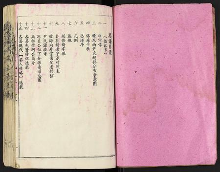江西尹氏族谱-赣东南尹氏联修族谱.pdf电子版插图2