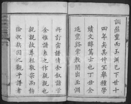 江西周氏族谱-丰谿大石周氏宗谱 [不分卷].pdf电子版插图2