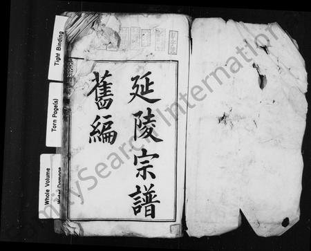 安徽吴氏族谱-[吴氏]延陵宗谱旧编 [2卷, 首1卷],延陵石匮族谱正编[6卷,卷首,末],附编[卷首,2卷].pdf电子版插图2