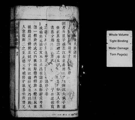 江西徐氏族谱-大原徐氏族谱.pdf电子版插图2