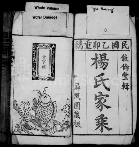 安徽杨氏族谱-杨氏家乘 [16卷].pdf电子版插图2