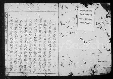 江西袁氏族谱-袁氏合修族谱 [卷数未列].pdf电子版插图2