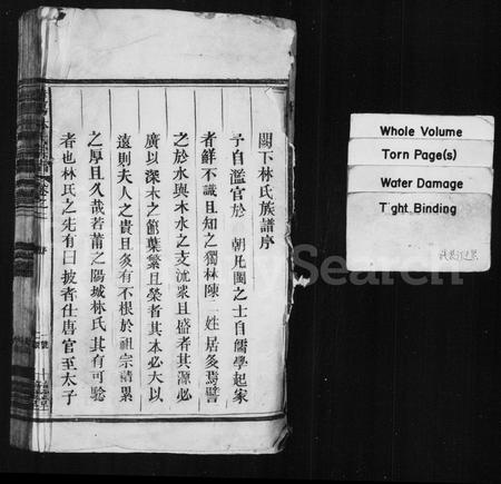 福建林氏族谱-饶阳林氏宗谱 [残卷].pdf电子版插图2