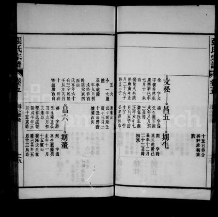 安徽张氏族谱-张氏宗谱 [38卷,末1卷].pdf电子版插图2