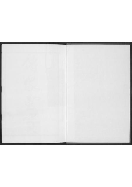 福建林氏族谱-凤池埕头林氏大宗谱.pdf电子版插图2