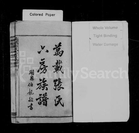 江西张氏族谱-万载张氏六房族谱 [上下卷,首2卷].pdf电子版插图2
