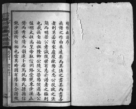 江西郑氏族谱-信饶沙溪郑氏族谱.pdf电子版插图2