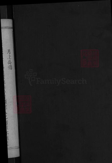 湖北省黄冈市麻城市戴氏讲席堂族谱-戴氏宗谱.pdf电子版插图2