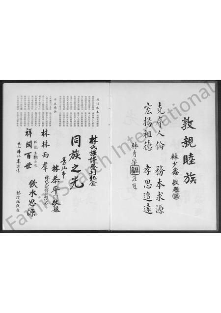 福建林氏族谱-安溪新春林氏大族谱 [不分卷].pdf电子版插图2