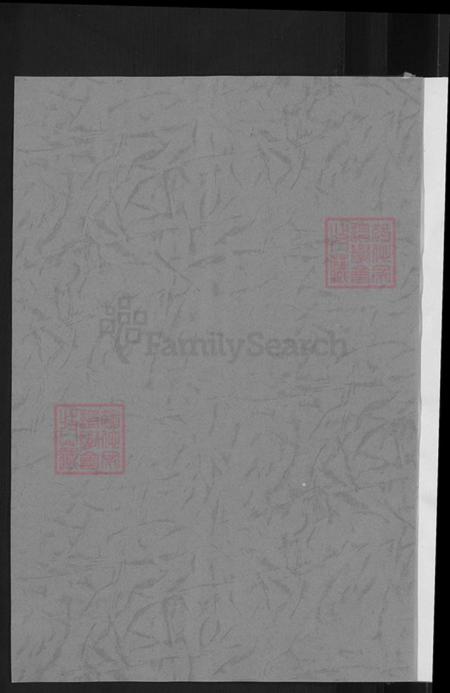 山西省忻州市忻府区解原乡连氏族谱-新路连氏族谱.pdf电子版插图2