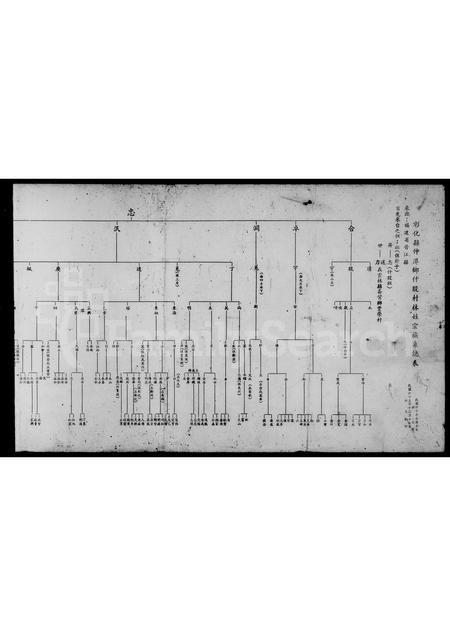 福建林氏族谱-彰化县伸港乡什股村林姓宗族系统表.pdf电子版插图2 福建林氏族谱-彰化县伸港乡什股村林姓宗族系统表.pdf电子版插图2