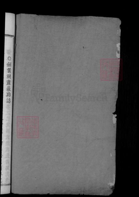 浙江省金华市张氏族谱-隆溪丽水张氏宗谱.pdf电子版插图2