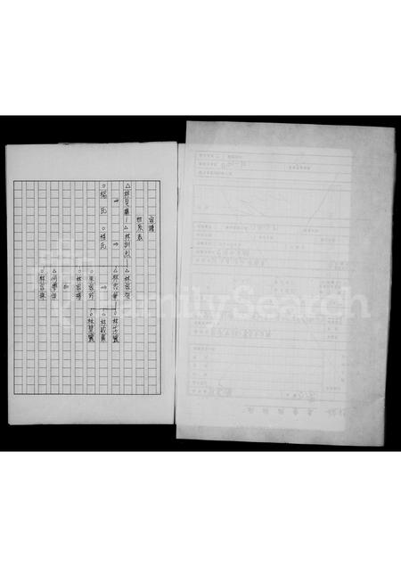 福建林氏族谱-林氏家谱.pdf电子版插图2