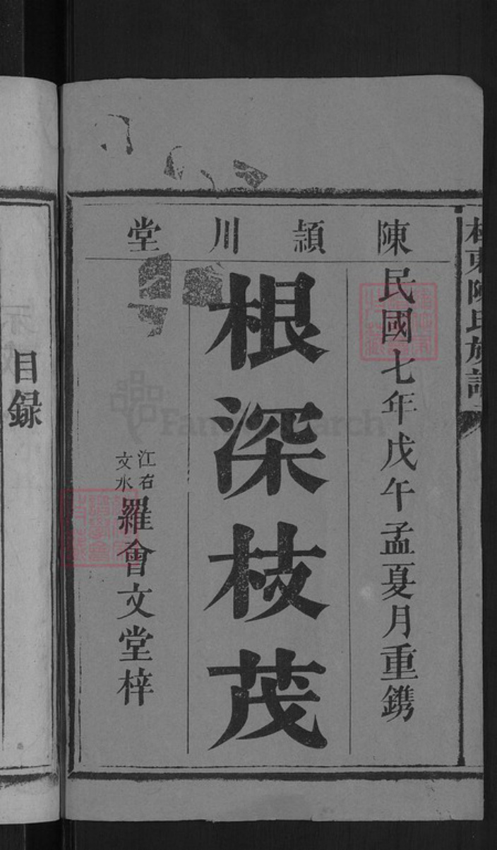 湖南省郴州市桂东县大塘镇陈氏颕川堂族谱-陈氏族谱.pdf电子版插图2