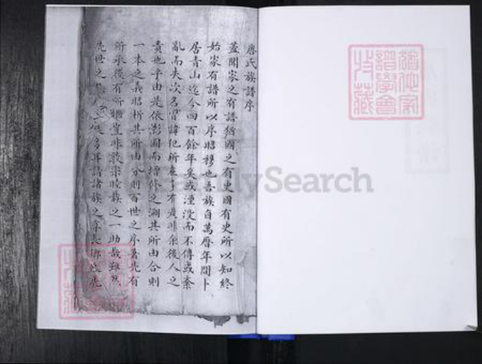 山东省青岛市崂山区唐氏族谱-青山社区唐氏族谱.pdf电子版插图2 山东省青岛市崂山区唐氏族谱-青山社区唐氏族谱.pdf电子版插图2