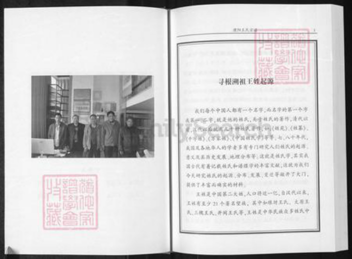 河南省濮阳市华龙区王氏族谱-濮阳王氏宗谱.pdf电子版插图2