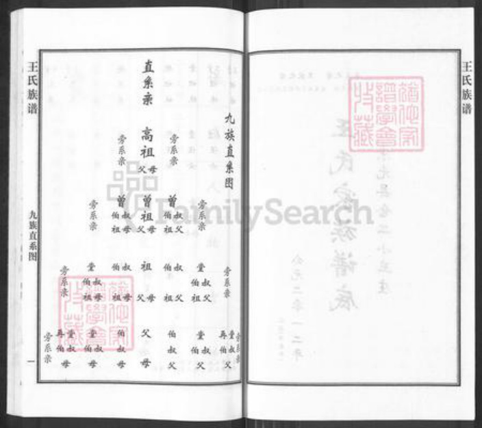 河北省沧州沧州地区南皮王氏族谱-王氏族谱.pdf电子版插图2