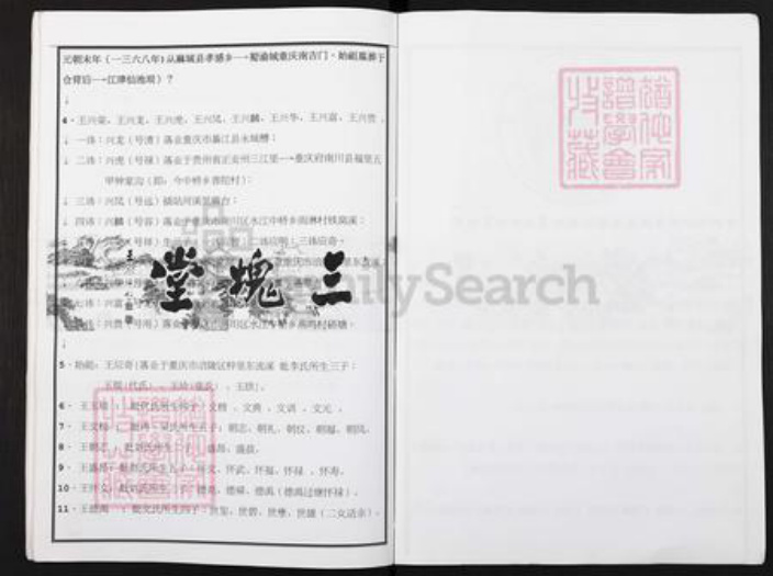 重庆市涪陵区王氏三槐堂族谱-王氏族谱.西蜀涪州榟里东流溪(应奇公)王氏宗支世系.pdf电子版插图2