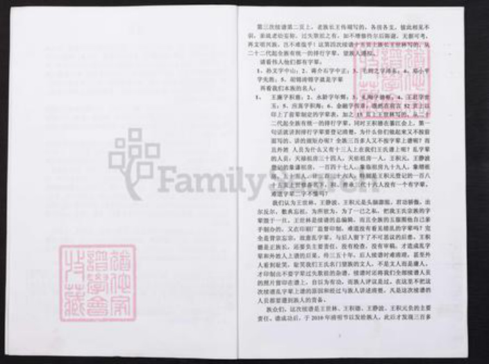 重庆市綦江区王氏族谱-滥田嘴王氏族谱副刊本.pdf电子版插图2