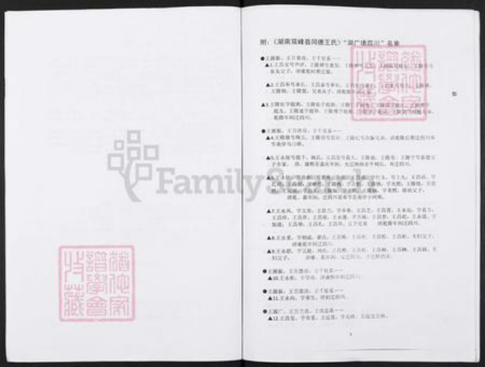 湖南省娄底市双峰县王氏族谱-湖南省双峰县同德王氏湖广填四川名单.pdf电子版插图2