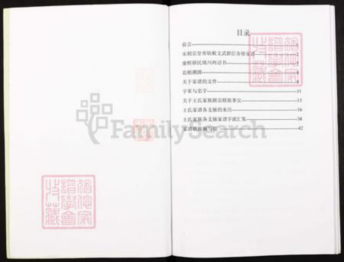 四川省遂宁市安居区王氏三槐堂族谱-王氏联宗族谱.pdf电子版插图2