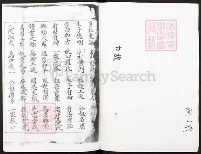 四川省广安市广安区王氏族谱-王氏族谱.pdf电子版插图2