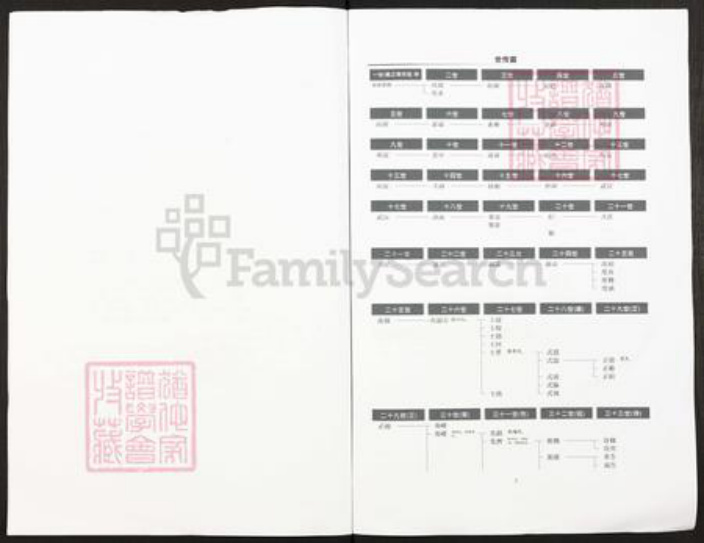 贵州省铜仁市铜仁市王氏族谱-贵州省沿河县城金田王氏族谱.pdf电子版插图2