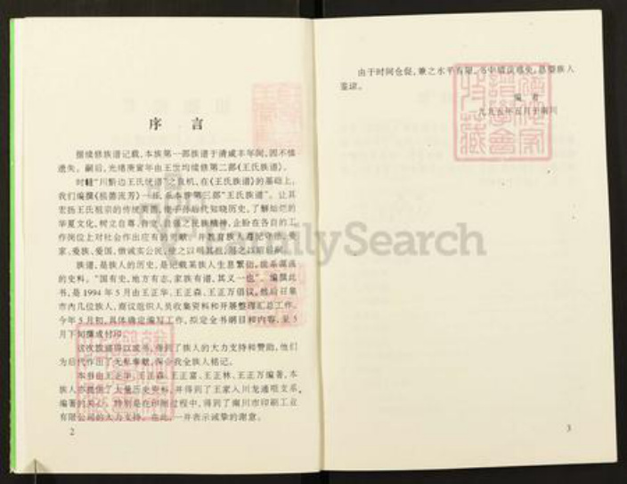 重庆市南川区南平镇王氏族谱-王家入川胡家(土党)支系祖德流芳.pdf电子版插图2