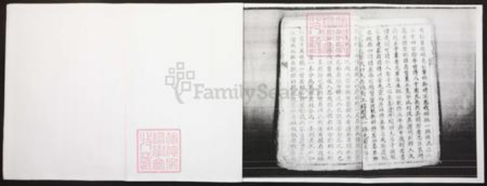 四川省泸州市江阳区王氏族谱-王氏家谱.pdf电子版插图2