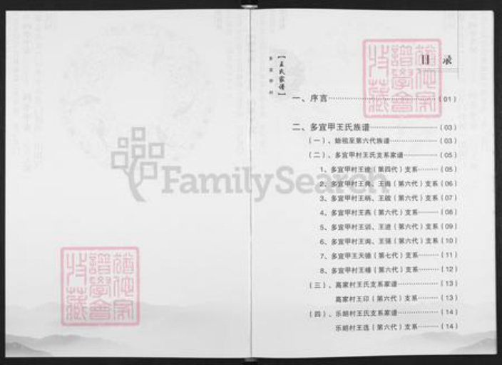 云南省昆明市富民县王氏族谱-王氏族谱.pdf电子版插图2
