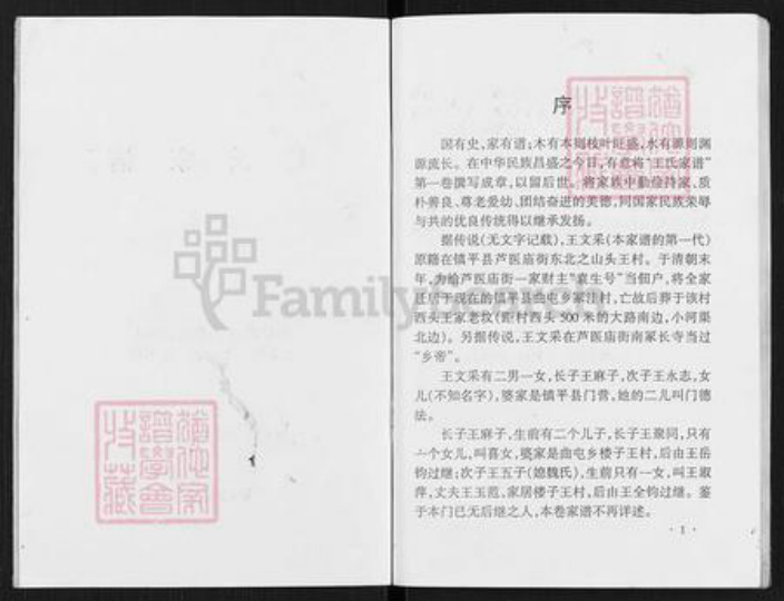 河南省南阳市镇平县曲屯镇王氏族谱-王氏家谱.pdf电子版插图2