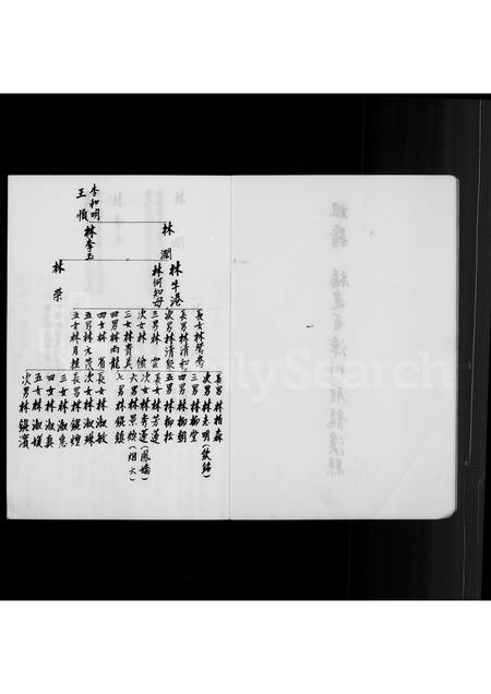 福建林氏族谱-[林氏家谱].pdf电子版插图2