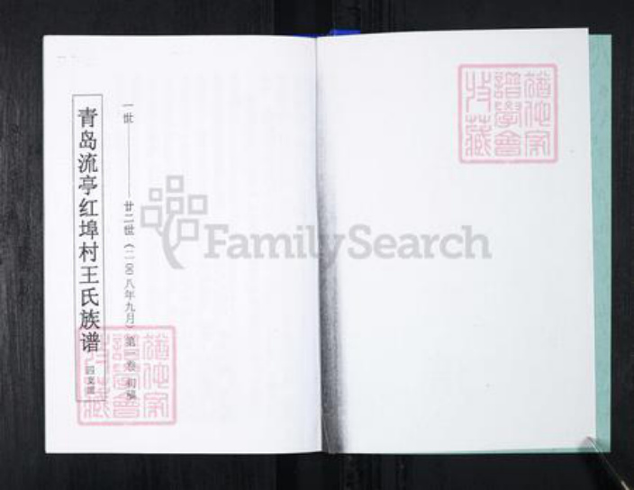 山东省青岛市王氏族谱-流亭红端口村王氏族谱.pdf电子版插图2