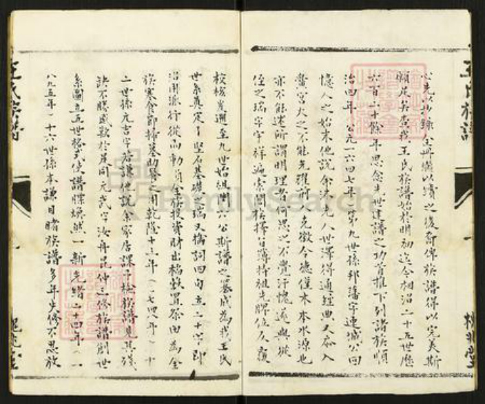 江苏省扬州市仪征市大仪镇王氏槐兆堂族谱-王氏族谱.pdf电子版插图2