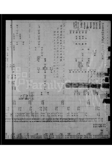 福建林氏族谱-西安林氏红系图.pdf电子版插图2 福建林氏族谱-西安林氏红系图.pdf电子版插图2