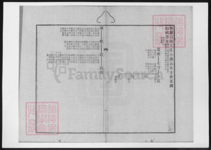 江苏省扬州市王氏族谱-宝应白田王氏小湖公本支世系图.pdf电子版插图2 江苏省扬州市王氏族谱-宝应白田王氏小湖公本支世系图.pdf电子版插图2