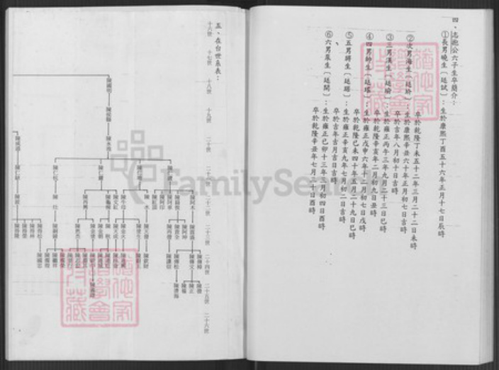 台湾台北市文山区陈氏族谱-陈志抱派下谱系世系表.pdf电子版插图2